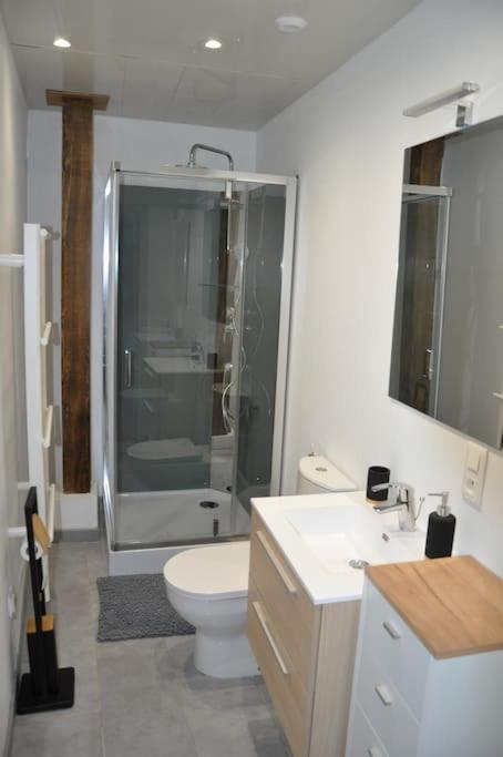 Le Studio du Tanneur Selestadien Sélestat Extérieur photo